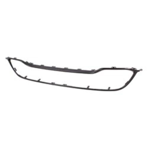 2021 DODGE DURANGO OUTER GRILLE MOLDING – CH1202114C