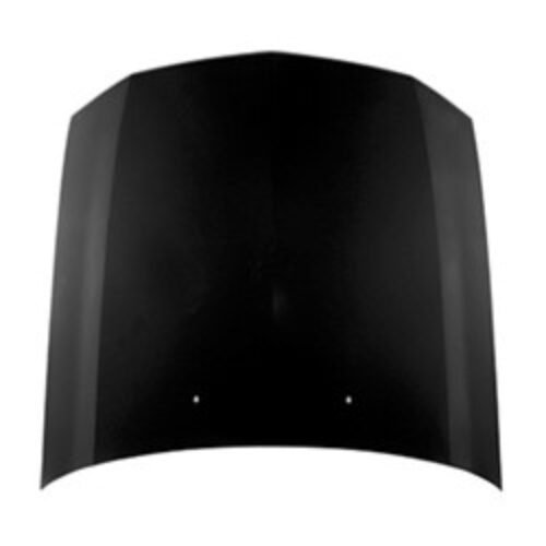2005 FORD MUSTANG HOOD – FO1230254C